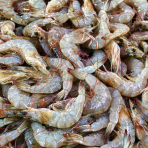 Saltwater Seafood Instagram Image